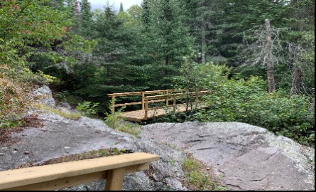 wooden walk way through forested trail